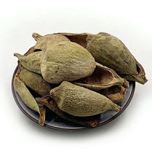 520人付款天猫新货王不留行壳中药材广王不留行王不流壳中药不母留 禁