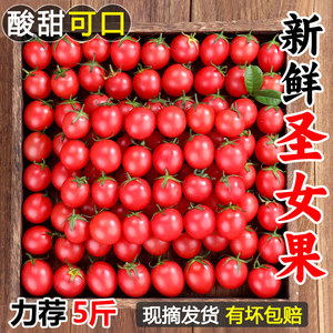 圣女果新鲜小番茄5斤水果当季整箱包邮蔬菜生吃自然熟3西红柿千禧