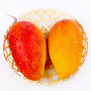 海南三亚贵妃芒果-----特大果9斤