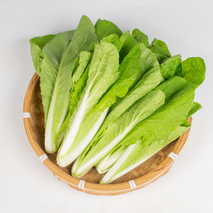 四川新鲜小白菜现摘时令蔬菜农家自种小青菜绿色叶子蔬菜包邮