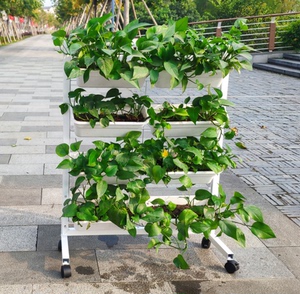 阳台种菜架多层