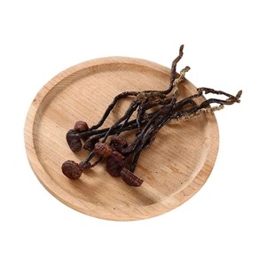 海南五指山野生灵芝王50g小红灵芝竹灵芝片整棵灵芝免费打灵芝粉