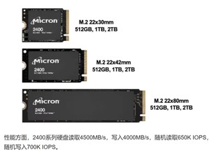 镁光2400 2T 1T 2230 SSD固态硬盘ROG掌机ally 比WD SN740 2T低温