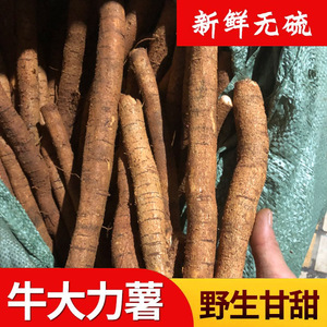 牛大力中药材泡酒新鲜山莲藕正品猪脚笠薯根金钟根500g煲汤料野生