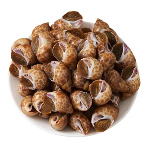 花螺新鲜海螺东风螺猫眼螺凤螺香螺海鲜水产鲜活冷冻特大无沙袋装