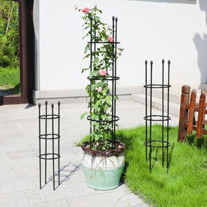 绿萝爬藤杆器灯笼花牵引架绿植物支架铁线莲专用藤蔓攀爬花架