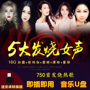 女声柔甜歌曲黑胶试音煲机孙露张玮伽陈瑞雷婷谭艳童丽优盘音响车用