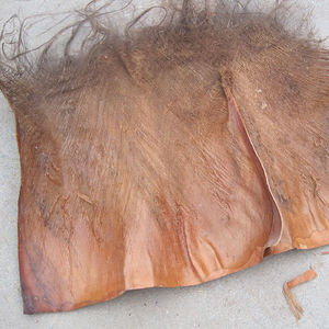 三木农资专营店棕榈丝山棕丝山棕片棕毛棕树皮丝马尾棕线棕做拂