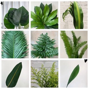 各类叶材 鲜花插花束配叶配草 龟背散尾蓬莱松黄莺高山羊齿巴西叶