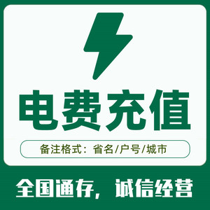 国家电网代缴充值交电费500湖南湖北福建黑龙江甘肃山东