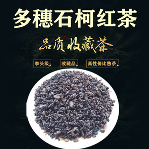 多穗石柯木姜叶柯甜茶重庆特产嫩叶紫红优质红茶精品罐装种子树苗
