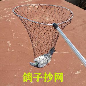 抓鸽子的地套网