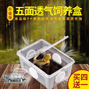 螃蟹宠物养殖盒盒子透明透气爬行动物饲养箱塑料鱼缸仿玻璃乌龟