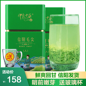 信阳毛尖2024新茶叶明前特级嫩芽毛尖绿茶春茶浓香型散装250g