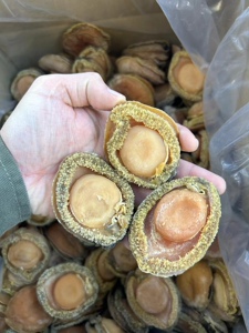 南非鲍鱼天然干鲍6头13头15头20头30头大干鲍鱼南非250g