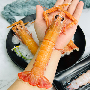 深海鳌虾刺身鲜活速冻大甜虾非新西兰生吃日料即食食材东海海鲜