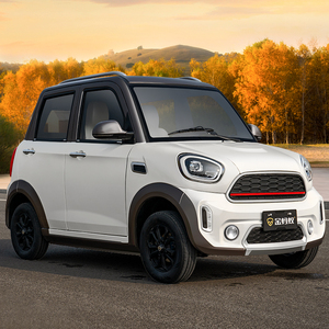 2023新款电动车四轮家用代步车老头乐电动汽车成年人新能源电瓶车