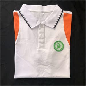 新品佛山市南海区丹灶中学夏装 (橙边)同款定制校服