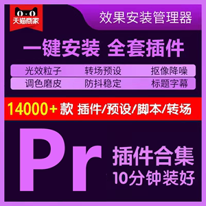 Pr全套插件合集中文一键安装包磨皮调色转场预设特效软件素材2024