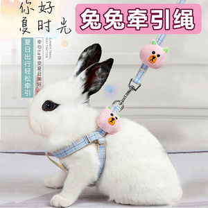 溜兔子牵引绳防挣脱外出专用小侏儒兔子防咬可调节栓遛兔绳子神器