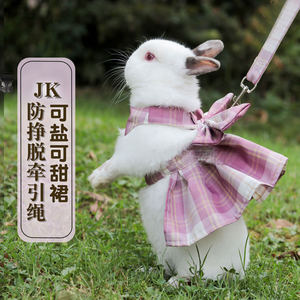 溜兔子牵引绳衣服夏天宠物小兔子穿的防挣脱外出栓绳可爱背心调节