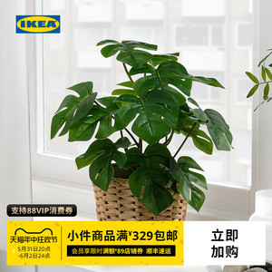 IKEA宜家FEJKA菲卡人造盆栽植物龟背竹室内装饰绿植现代简约