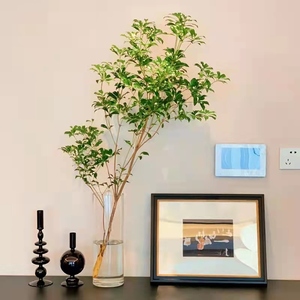 日本进口鲜切枝马醉木 北欧风吊钟 插花水培超级植物 北京同城