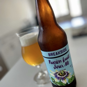 【正经喝酒】破碎   紫色魅力  酸艾尔   650ml瓶   精酿啤酒