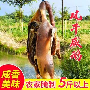 农家腌制溧阳周城咸鹅腊鹅风干老鹅整只天目湖寿县茅山固始5.5斤