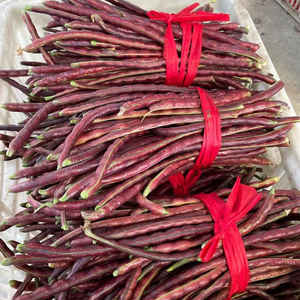 22033520唐宝淘宝农家新鲜蔬菜黄瓜四季豆豇豆番茄玉米小南瓜番茄