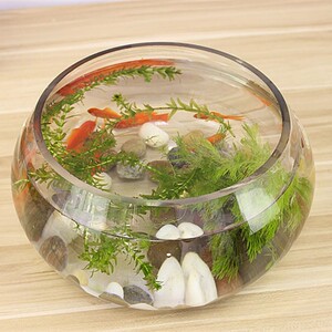 加厚钢化小型玻璃鱼缸防割手好看卧室大号圆形生态缸养乌龟专用