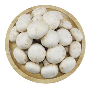 鲜蘑菇新鲜平菇食用