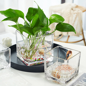 简约创意水培器皿玻璃花瓶水养植物绿萝透明正方形容器插花瓶摆件