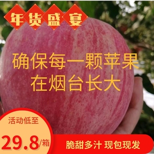 烟台红富士苹果山东净重5斤10斤当季整箱24小时发货新鲜苹果