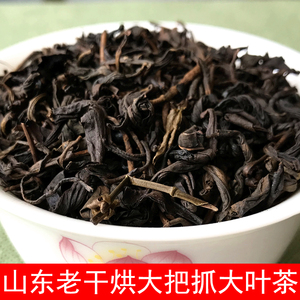 山东黄大茶老干烘莱芜齐鲁大叶子新款包邮招待茶饭店用大把抓茶叶