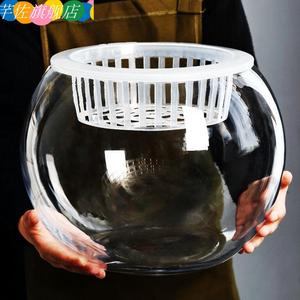 水培植物定植篮玻璃透明花瓶绿萝白掌专用水养容器花盆圆球形鱼缸