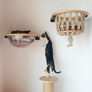 chopin太空舱实木猫爬架墙挂式墙壁式猫窝麻绳跳台猫别墅出口猫架