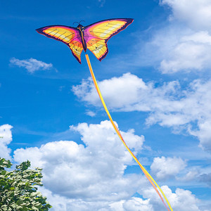 红色蝴蝶风筝