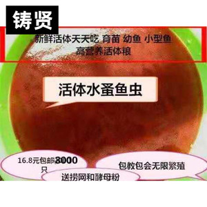 90文驰家居专营店天猫大麦鱼虫黄食画眉鸟金龙饲料粉虫虫子500g面包
