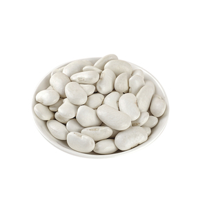大白豆白芸豆散装