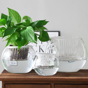 创意水培绿萝玻璃瓶透明家用水养植物花盆圆球形插花花瓶装饰摆件