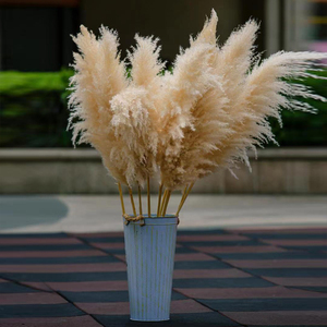 天然芦苇干花网红插花客厅装饰蒲苇阳台摆件婚庆道具公司开业仿真