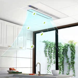 阳光凉霸厨房嵌入式二合一集成吊顶冷风机风扇带照明吹风直吹凉霸