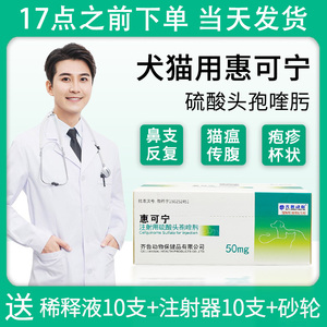 惠可宁猫