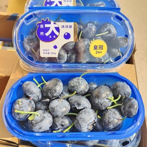 王蓝莓照片图片