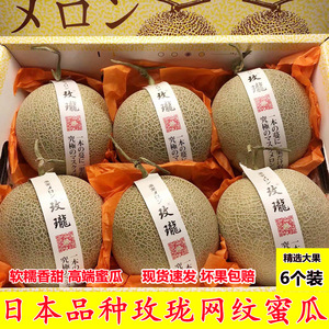 日本品种玫珑网纹蜜瓜6个礼盒装静冈网纹瓜新鲜水果海南玫珑蜜瓜