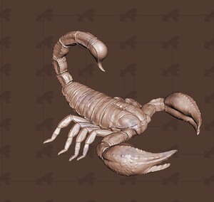 蝎子昆虫高精度新3d打印模型stl三维立体图obj文件素材