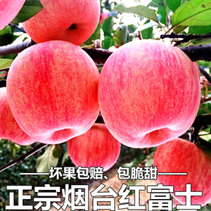 烟台苹果红富士山东栖霞苹果水果新鲜整箱当季脆甜批发不打蜡10斤