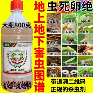 农药杀虫杀卵边打边死虫触杀植物内吸地上地下害虫通杀熏蒸杀虫剂