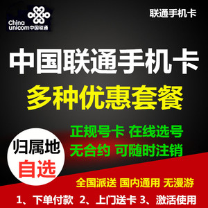 天津重庆4G手机电话号码卡语音日租卡流量大王卡B
